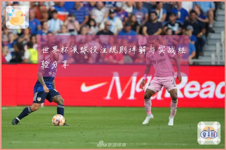 世界杯滚球投注规则详解与实战经验分享