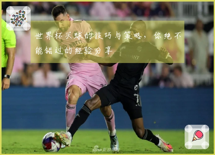 世界杯买球的技巧与策略，你绝不能错过的经验分享