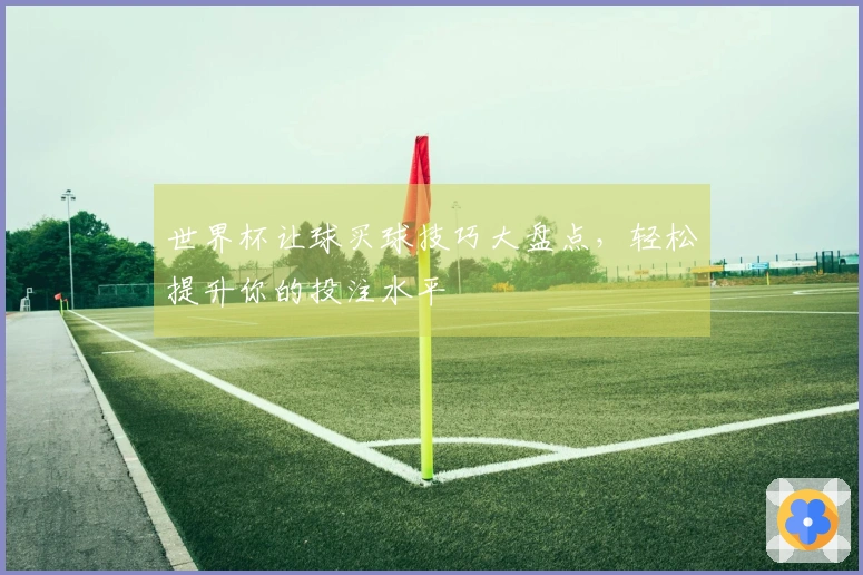 世界杯让球买球技巧大盘点，轻松提升你的投注水平