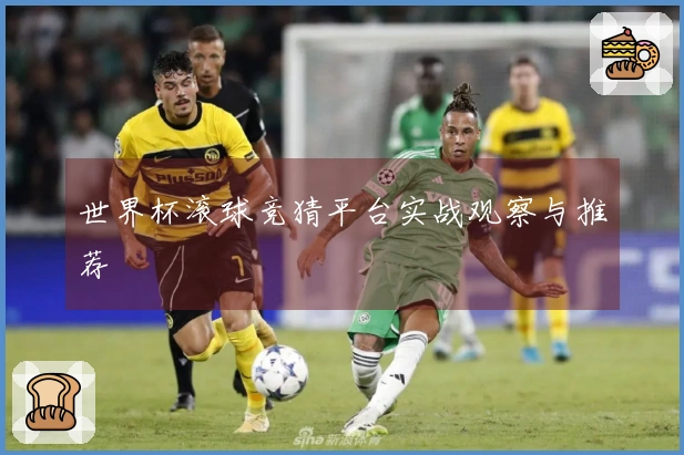 世界杯滚球竞猜平台实战观察与推荐