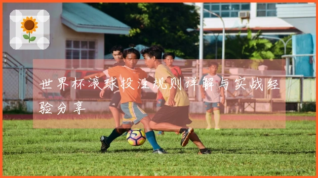 世界杯滚球投注规则详解与实战经验分享
