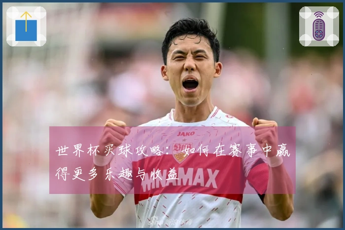 世界杯买球攻略：如何在赛事中赢得更多乐趣与收益