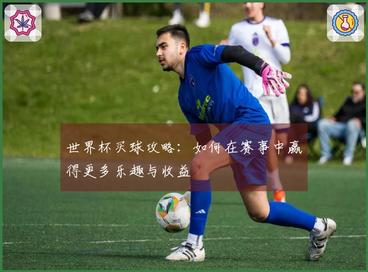世界杯买球攻略：如何在赛事中赢得更多乐趣与收益