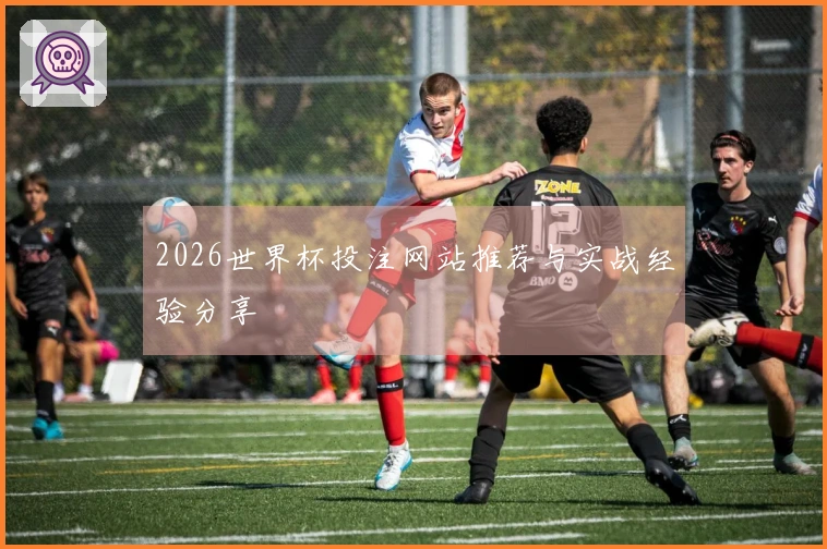 2026世界杯投注网站推荐与实战经验分享